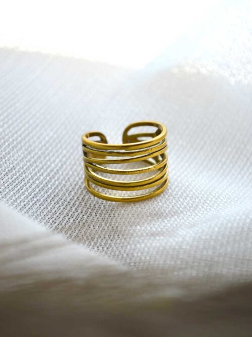 Anillo Gavin (Cópia) (Copie) (Cópia)