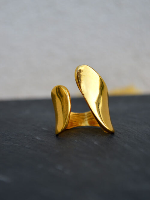 Anel Dourado Ajustável - Anel Denzel | Celtiana