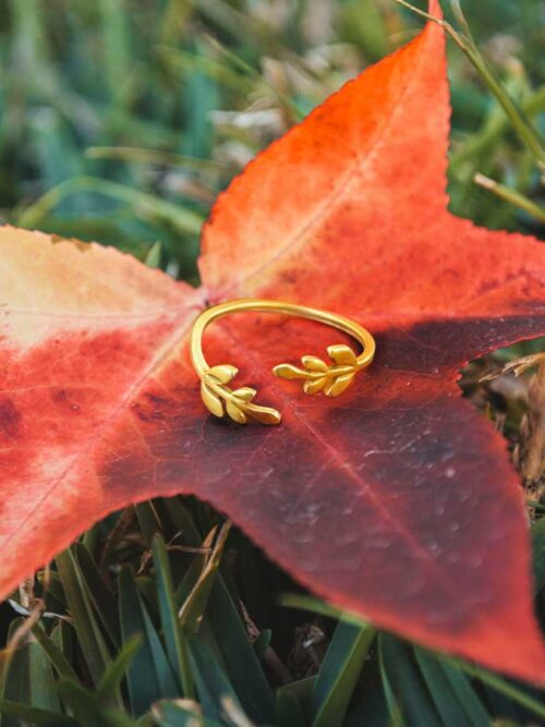 Anel Dourado Ajustável - Anel Hervé | Celtiana